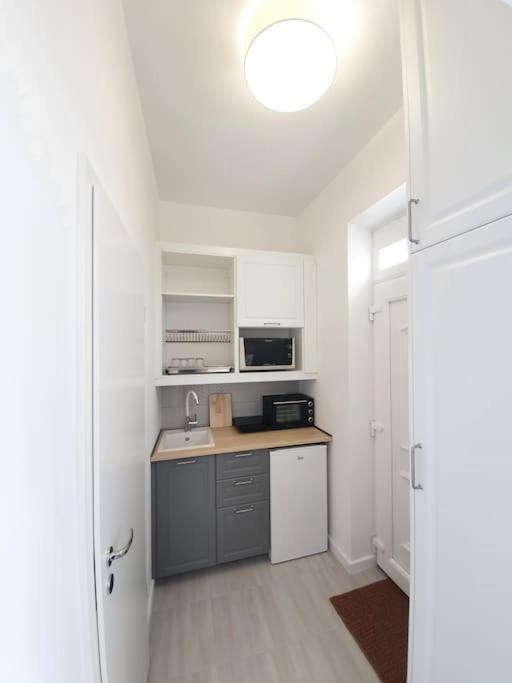 Master Apartment With Air Condition And Separated Rooftop Terrace Βουδαπέστη Εξωτερικό φωτογραφία