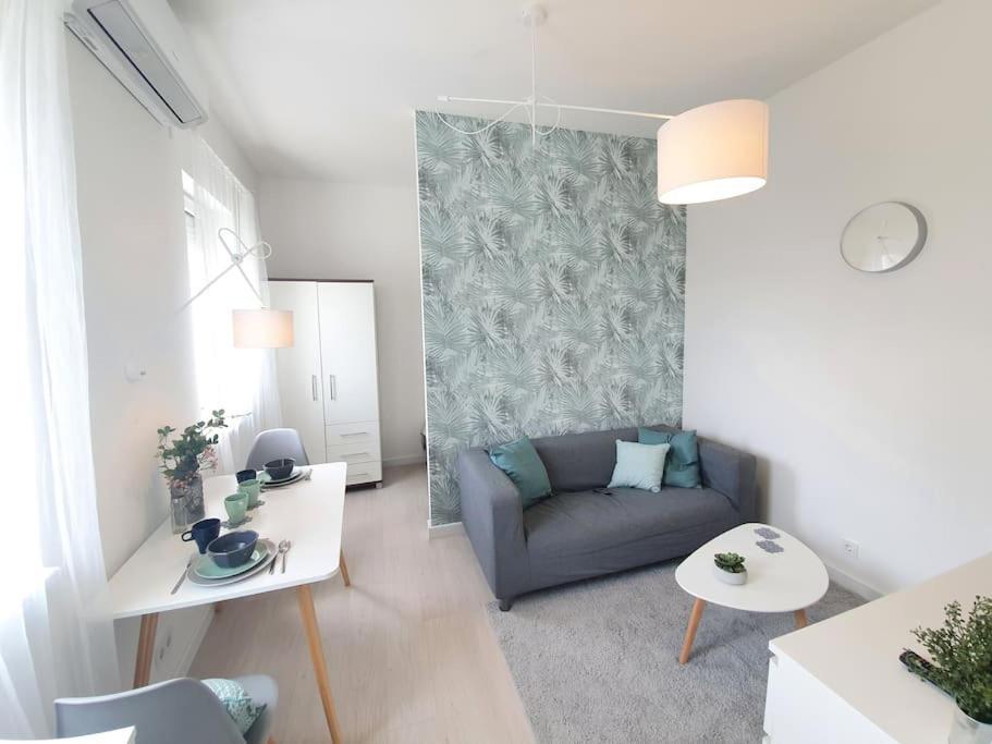 Master Apartment With Air Condition And Separated Rooftop Terrace Βουδαπέστη Εξωτερικό φωτογραφία