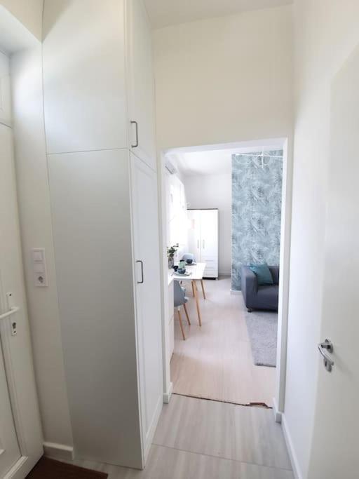 Master Apartment With Air Condition And Separated Rooftop Terrace Βουδαπέστη Εξωτερικό φωτογραφία